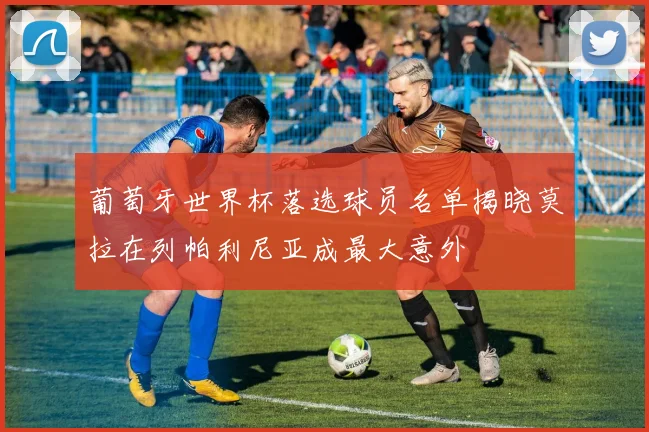葡萄牙世界杯落选球员名单揭晓莫拉在列帕利尼亚成最大意外