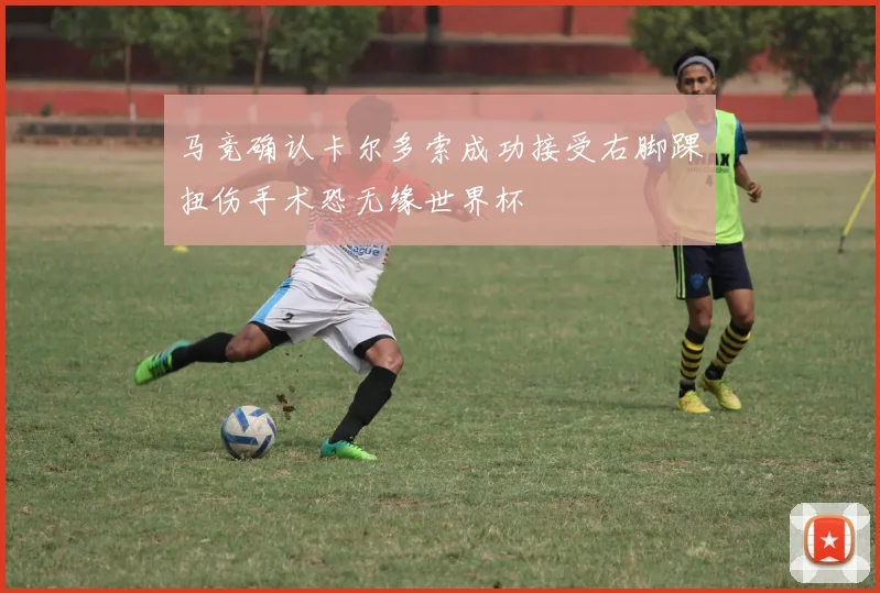 马竞确认卡尔多索成功接受右脚踝扭伤手术恐无缘世界杯